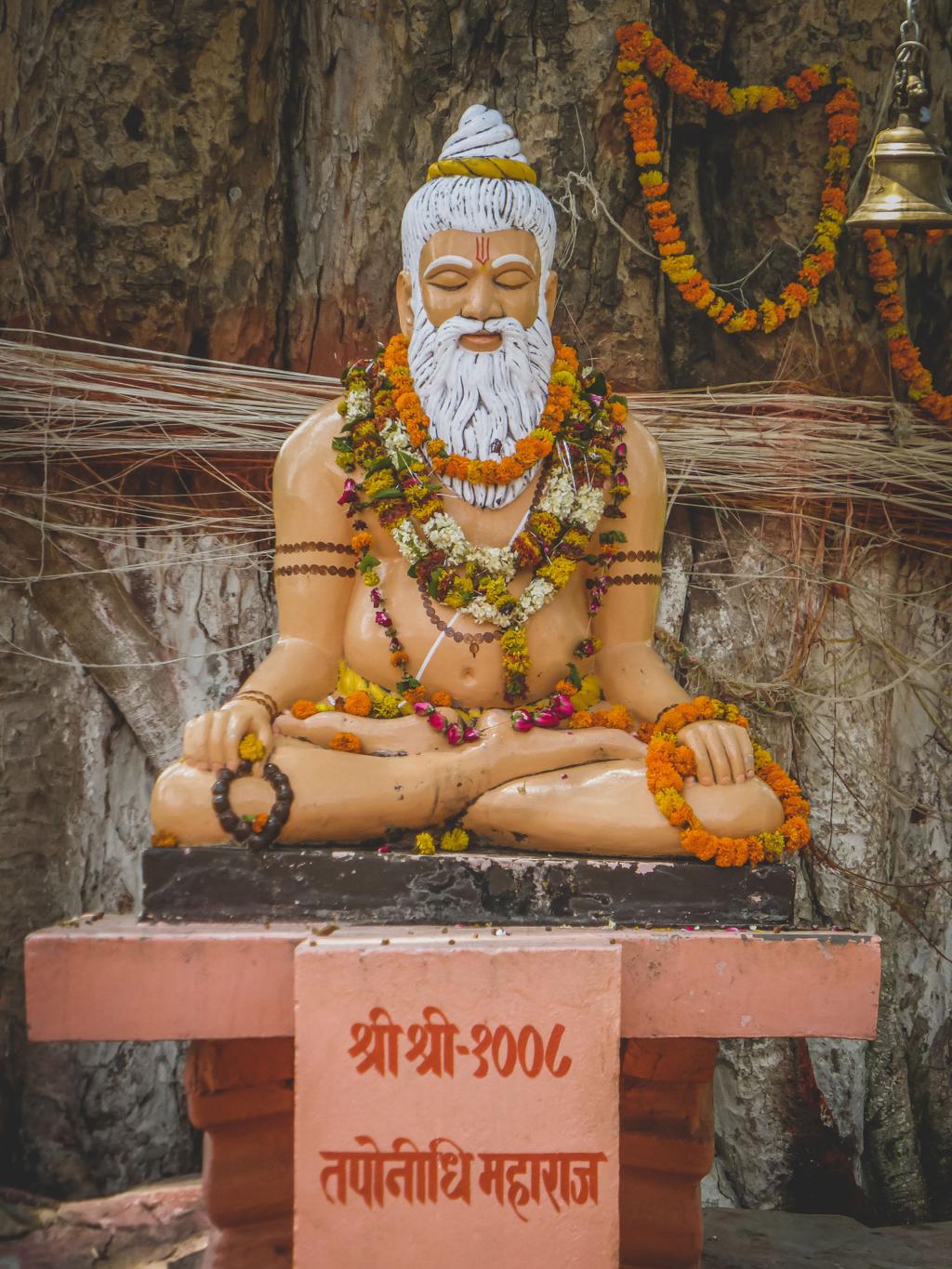 Pawahari Baba